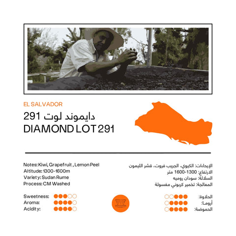 Diamond Lot 291 | El Salvador