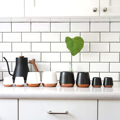 FELLOW Joey Double Wall Ceramic Mugs