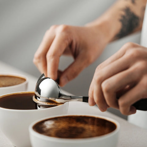 MHW-3BOMBER Long Handle Coffee Cupping Spoon