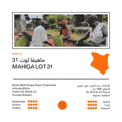 Mahiga Lot 31 | Kenya