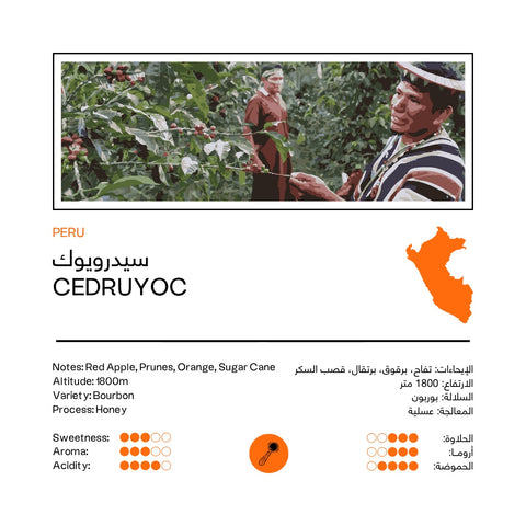 Featured Coffee