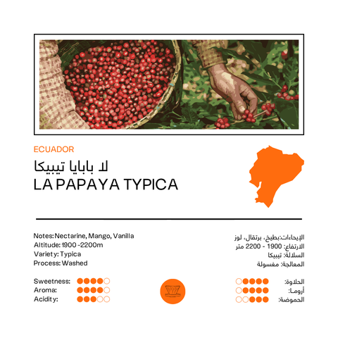 La Papaya Typica | Ecuador