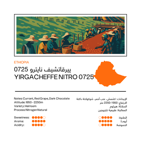 Yirgacheffe Nitro 0725 | Ethiopia