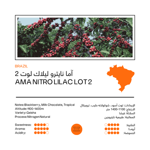 AMA Nitro Lilac Lot 2 | Brazil