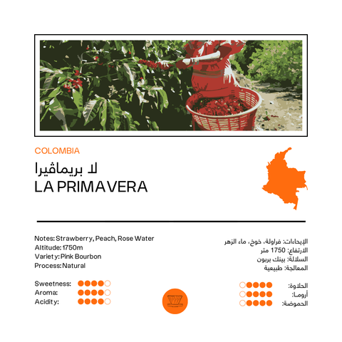 La Primavera | Colombia