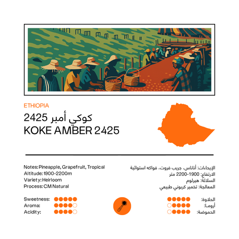 Koke Amber 2425 | Ethiopia