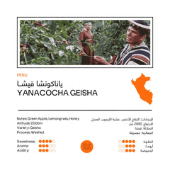 Yanacocha Geisha | Peru