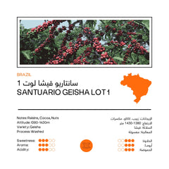 Santuario Geisha Lot 1 | Brazil