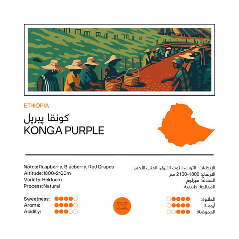 Konga Purple | Ethiopia