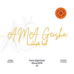 AMA Project Geisha | Brazil