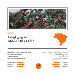 AMA Ruby Lot 1 | Brazil