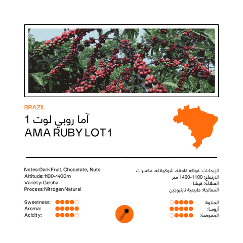 AMA Ruby Lot 1 | Brazil